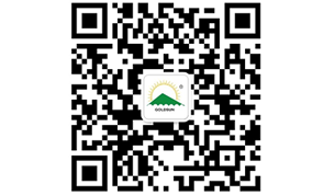 金太阳公众号